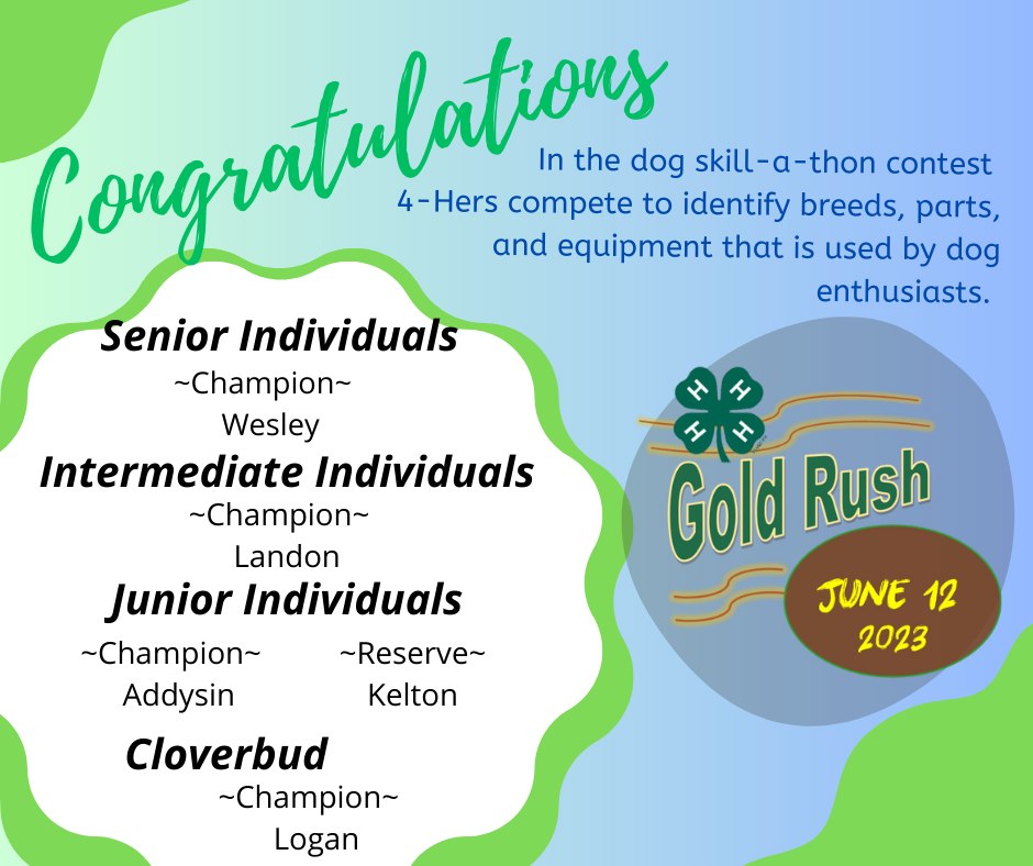gold rush dog